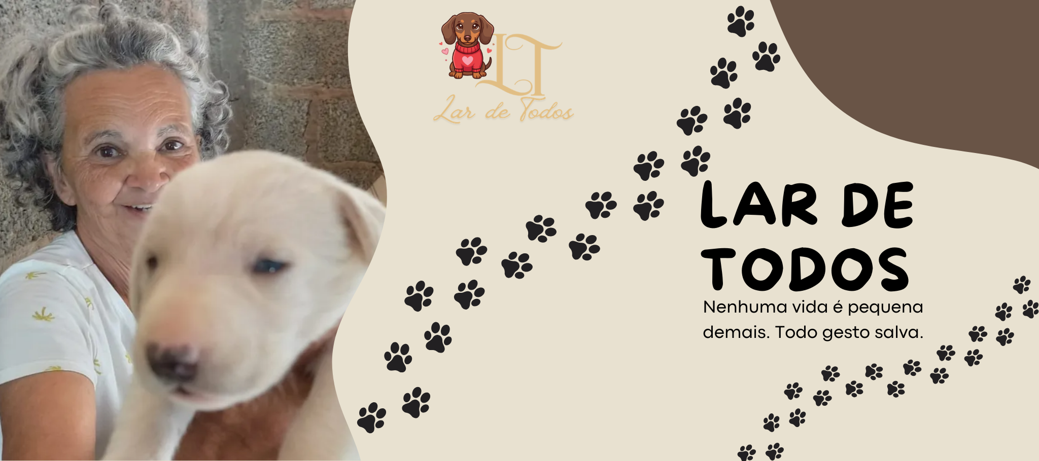 Sobre a instituição Salve Cão